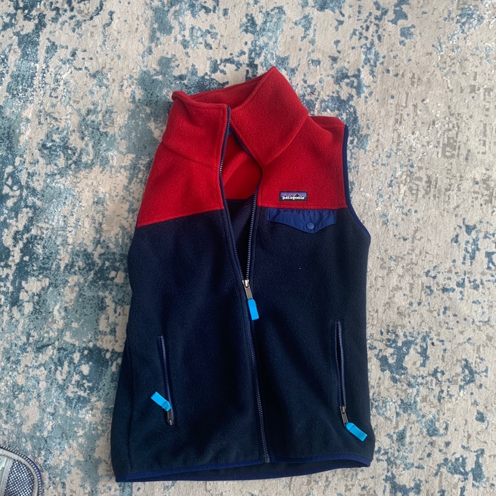 Patagonia two tone synchilla vest